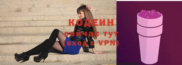 стаф Кинешма