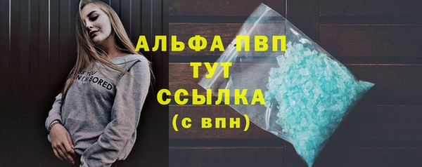 стаф Кинешма