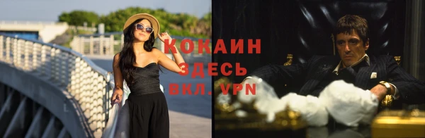стаф Кинешма