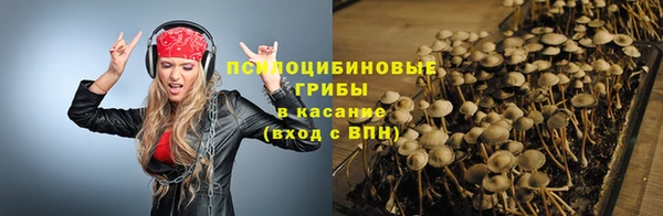 стаф Кинешма